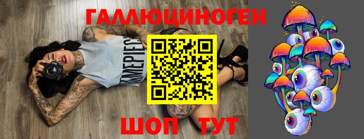Можайск  как найти   Вход с VPN  Галлюциногенные грибы GOLDEN TEACHER 